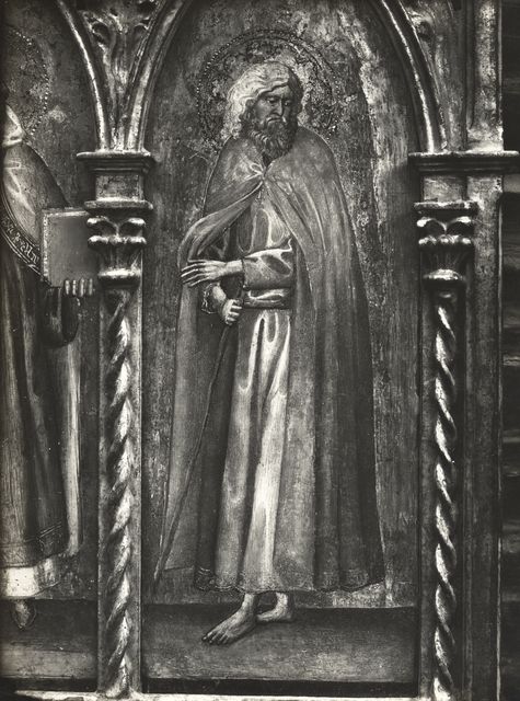 Anonimo — Michele di Matteo - sec. XV - Santo eremita — particolare